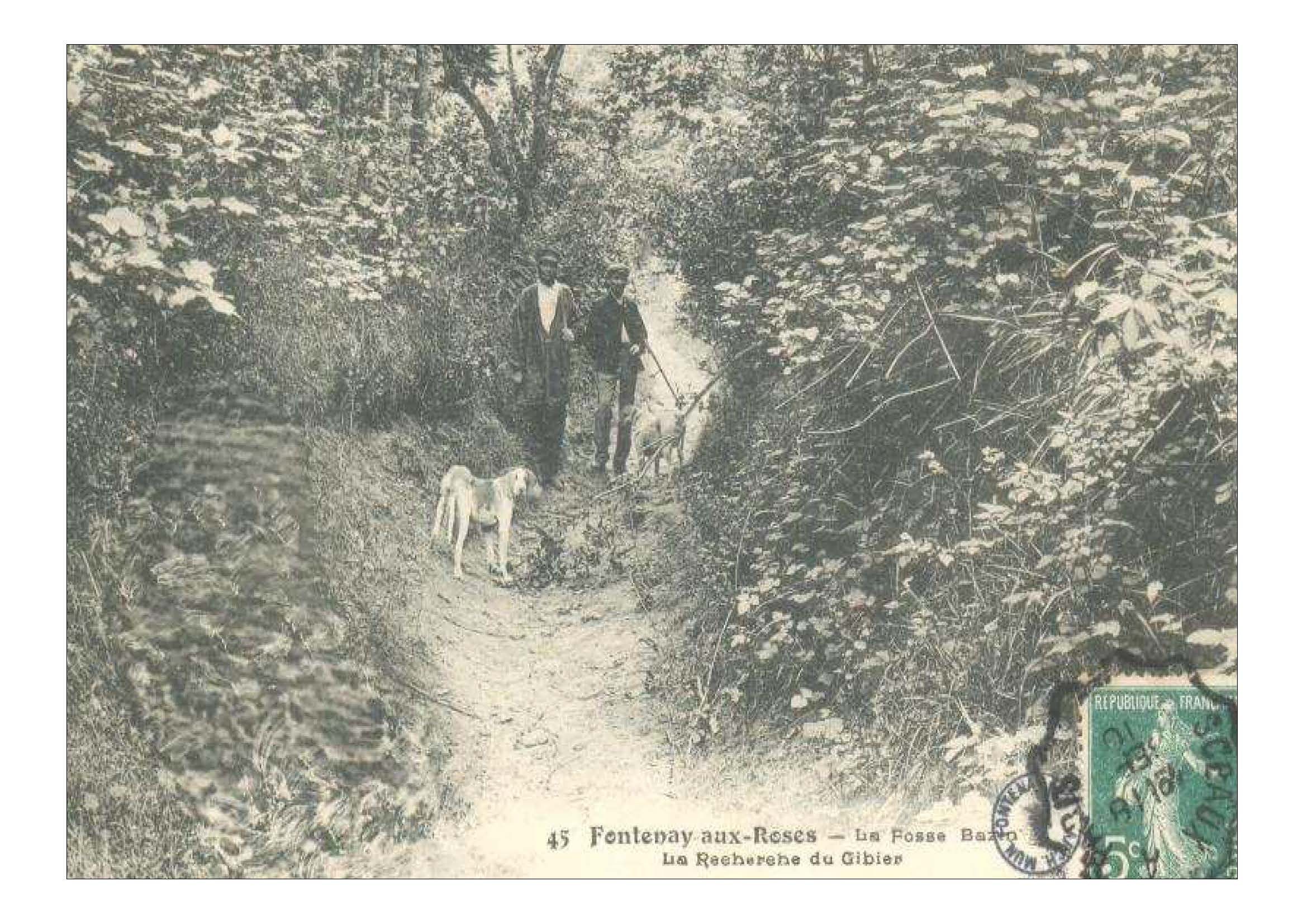 La Fosse Bazin, lieu de promenade et terrain de chasse jusqu_au milieu du 20e siècle-02